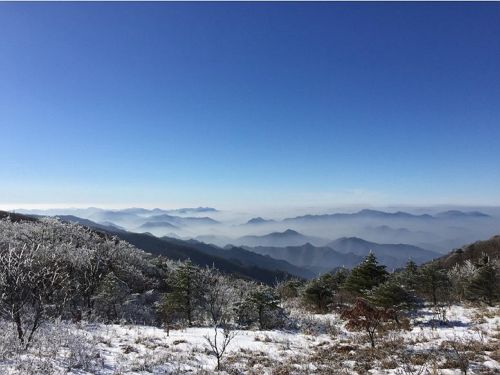 소백산 설경